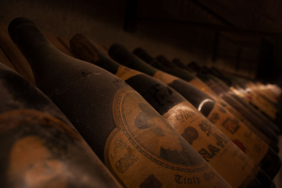 Bouteilles anciennes couchées dans une cave, recouvertes de poussière